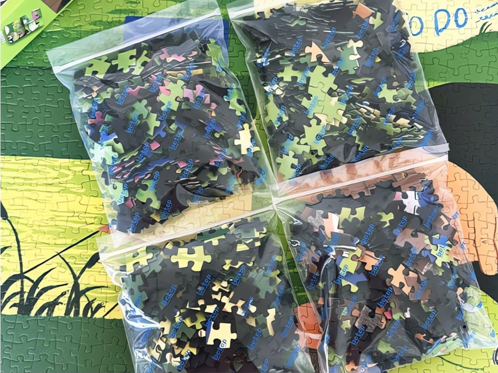 Botop puzzle showing Camping Diary pieces sorted in four clear plastic bags
