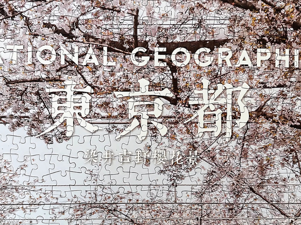 Close-up of sakura tree blossoms on the puzzle with National Geographic text