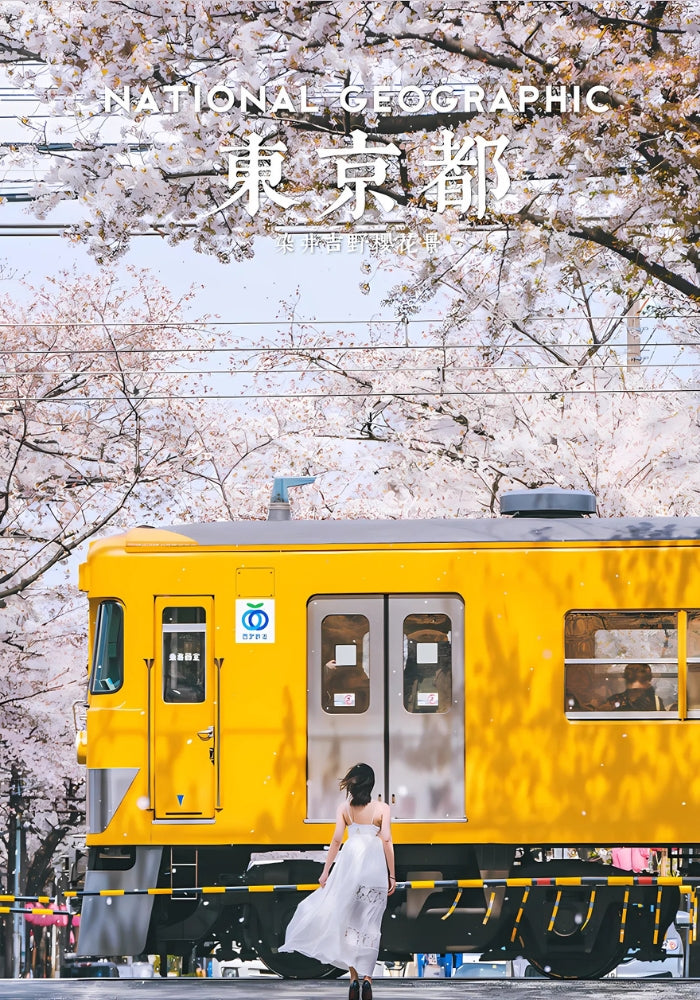 Angled view of sakura train puzzle box showing artwork of train and cherry trees