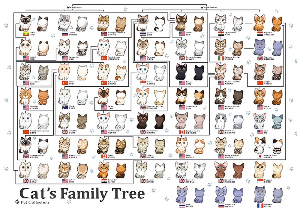 Puzzle of cartoon cat breed family tree with labeled categories and flags.
