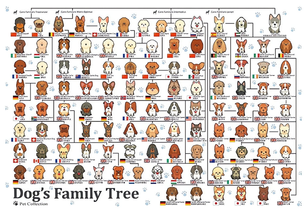 Puzzle of cartoon dog breed family tree with labeled categories and flags.
