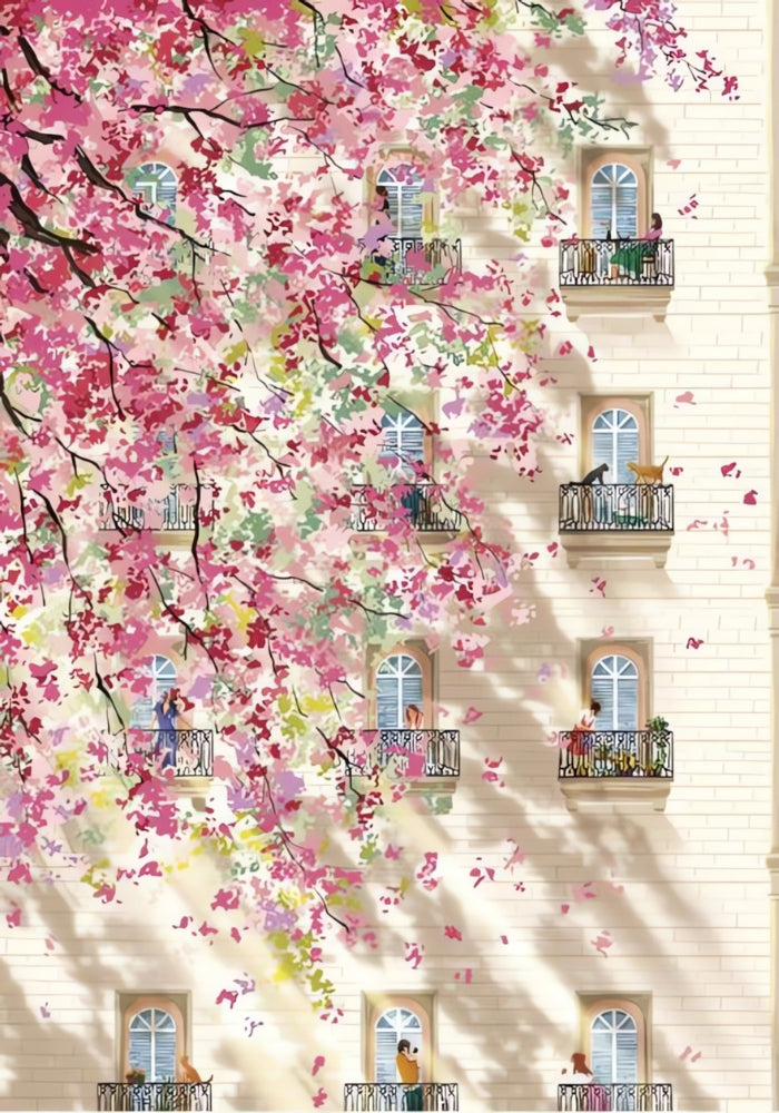 Elegant cherry blossom branches framing classic windows and balconies