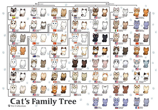 Cat's Family Tree | Botop | 1000 Piece Puzzle | Jigsaw Puzzle - Mystery Matrix
