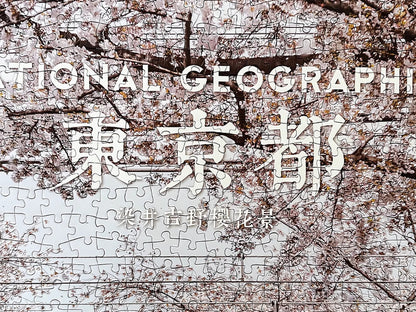 Close-up of sakura tree blossoms on the puzzle with National Geographic text