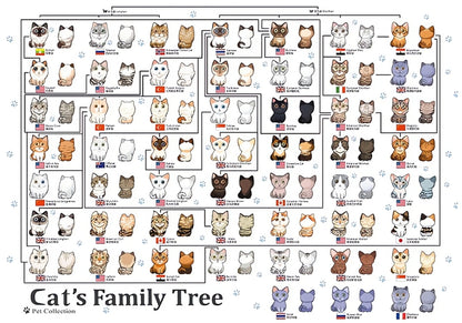 Puzzle of cartoon cat breed family tree with labeled categories and flags.