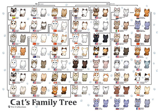 Puzzle of cartoon cat breed family tree with labeled categories and flags.