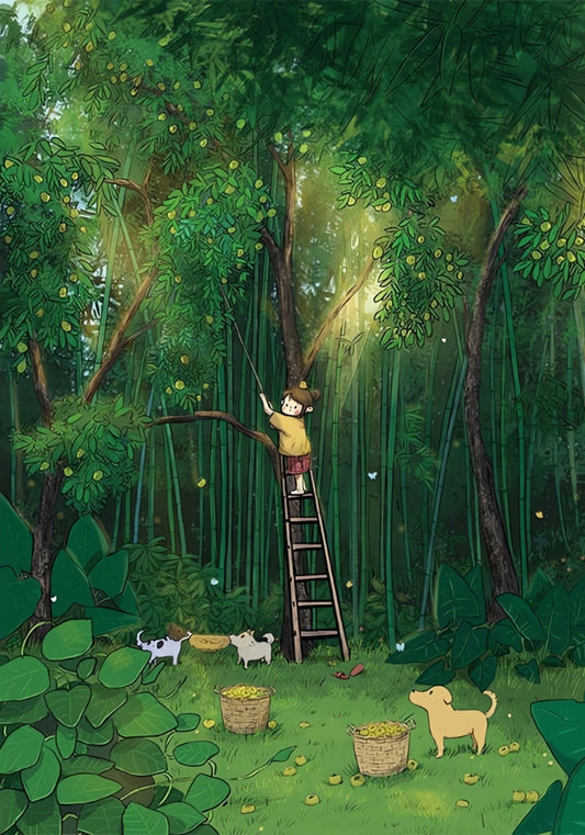 Illustration of a child standing on a ladder picking persimmons in a peaceful forest, with dogs nearby and baskets.