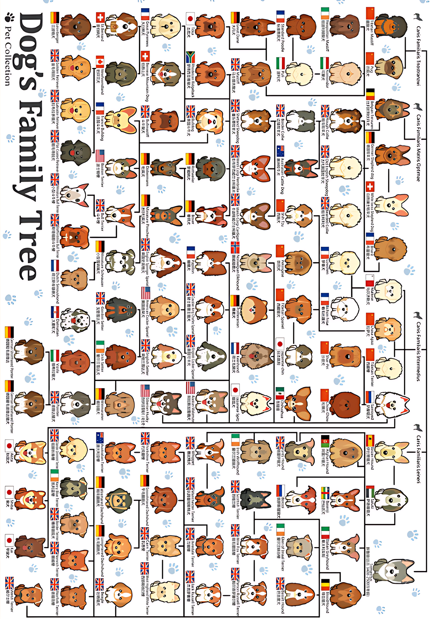 Dog’s Family | Botop Blackcard | 300 Piece Puzzle | Jigsaw Puzzle