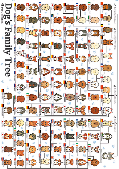 Dog’s Family | Botop Blackcard | 300 Piece Puzzle | Jigsaw Puzzle