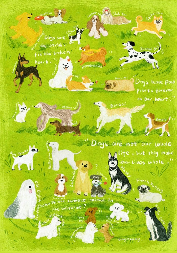 Dog Party | Botop | 1000 Piece Puzzle | Jigsaw Puzzle - Mystery Matrix