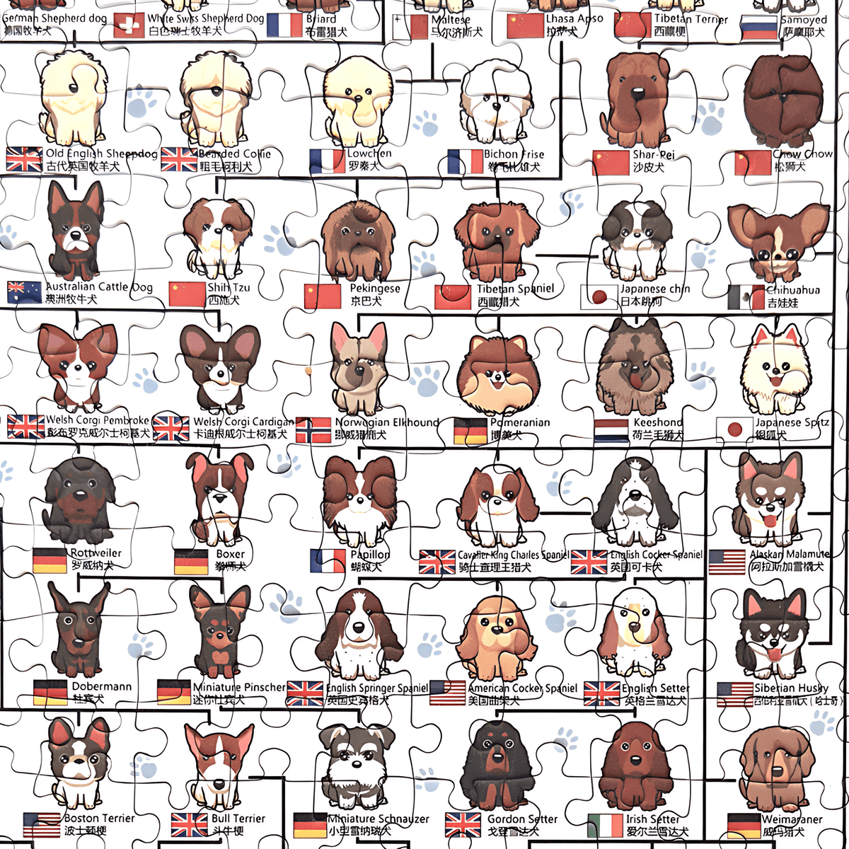 Dog’s Family | Botop Blackcard | 300 Piece Puzzle | Jigsaw Puzzle - Mystery Matrix