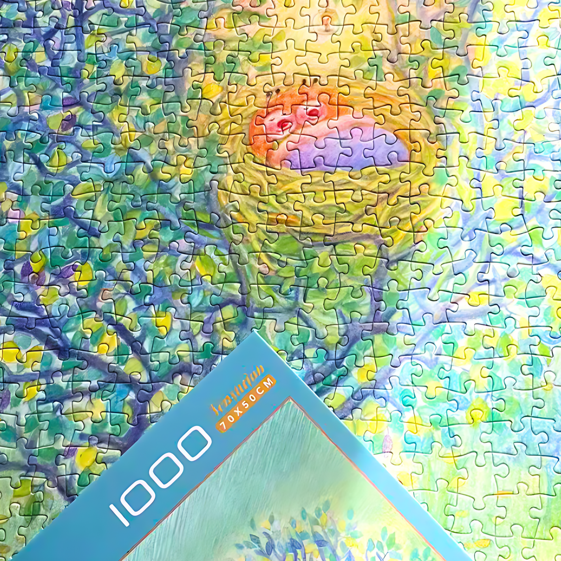 Dream | Botop Blackcard | 1000 Piece Puzzle | Jigsaw Puzzle - Mystery Matrix