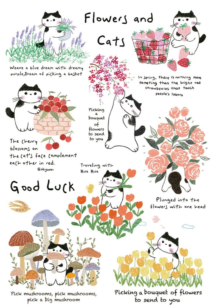 Flowers Cats | Botop | 300 Piece Puzzle | Jigsaw Puzzle - Mystery Matrix