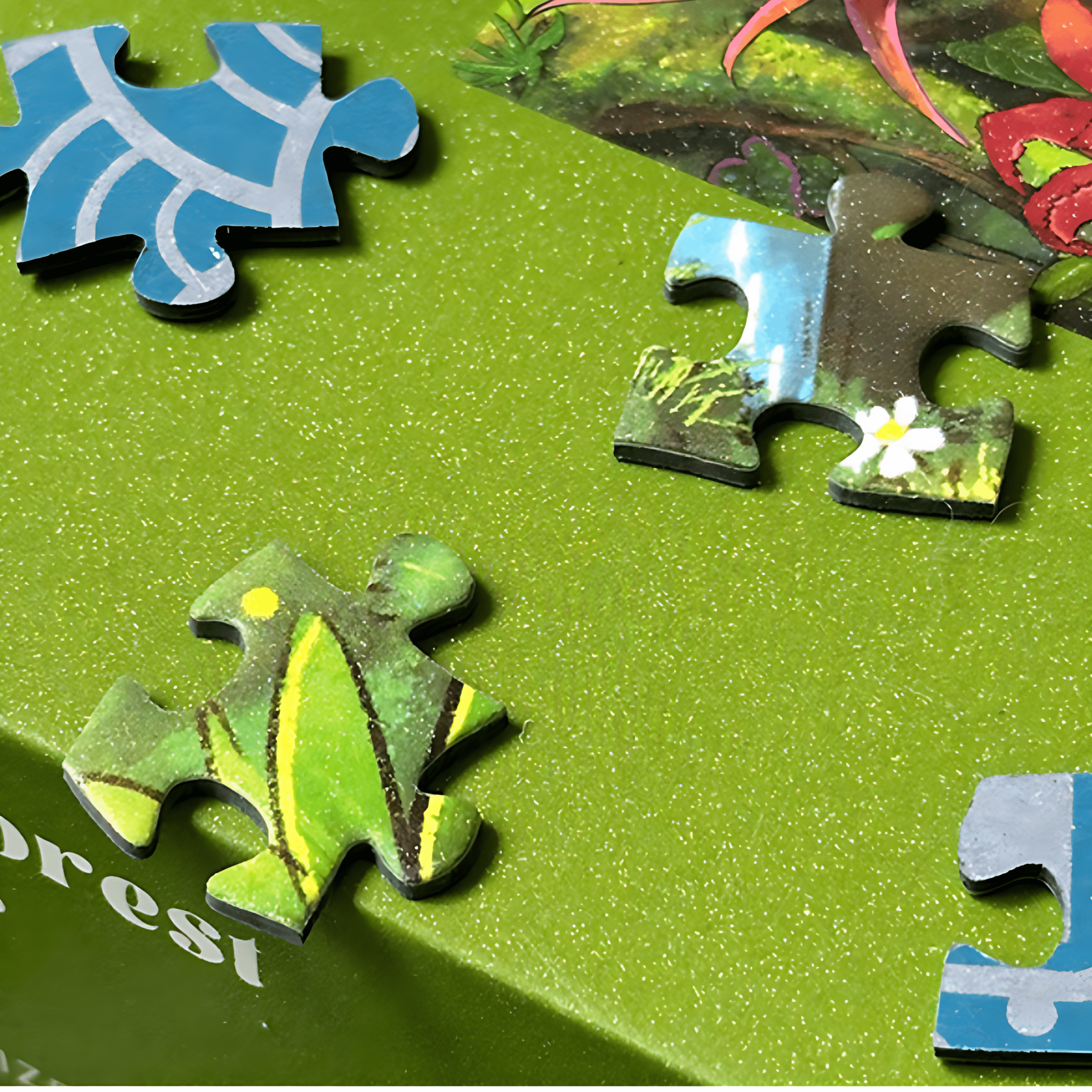 Rainforest | Botop Fusion | 1000 Piece Puzzle | Jigsaw Puzzle – Mystery ...