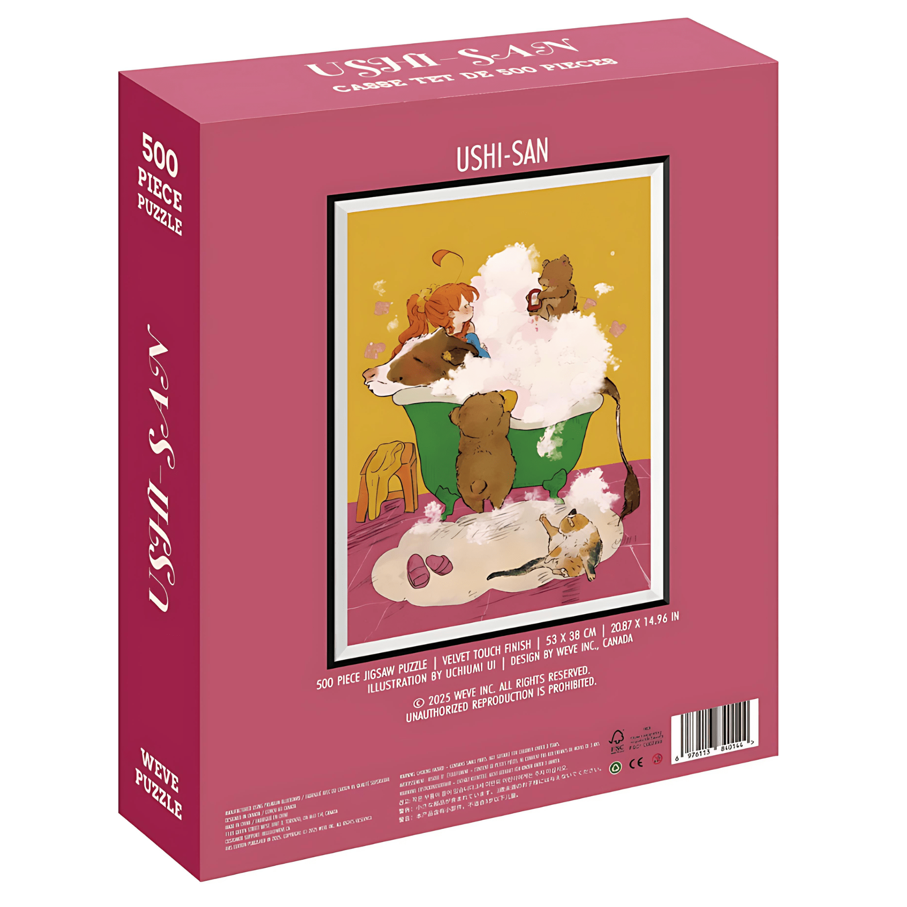 USHI - SAN | WEVE | 500 Piece Puzzle | Jigsaw Puzzle - Mystery Matrix